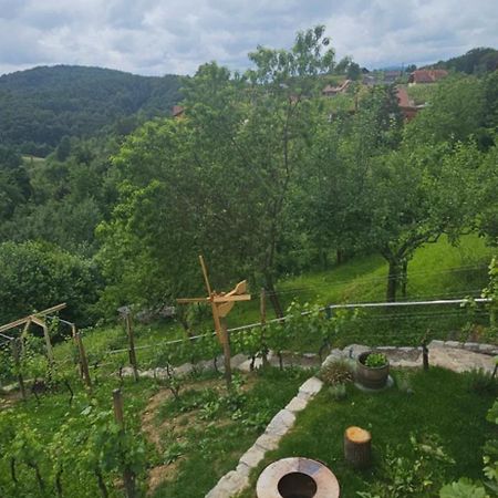 Zidanica Muhic Villa Доленсле Топлице Екстериор снимка