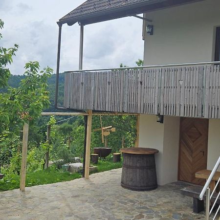 Zidanica Muhic Villa Доленсле Топлице Екстериор снимка