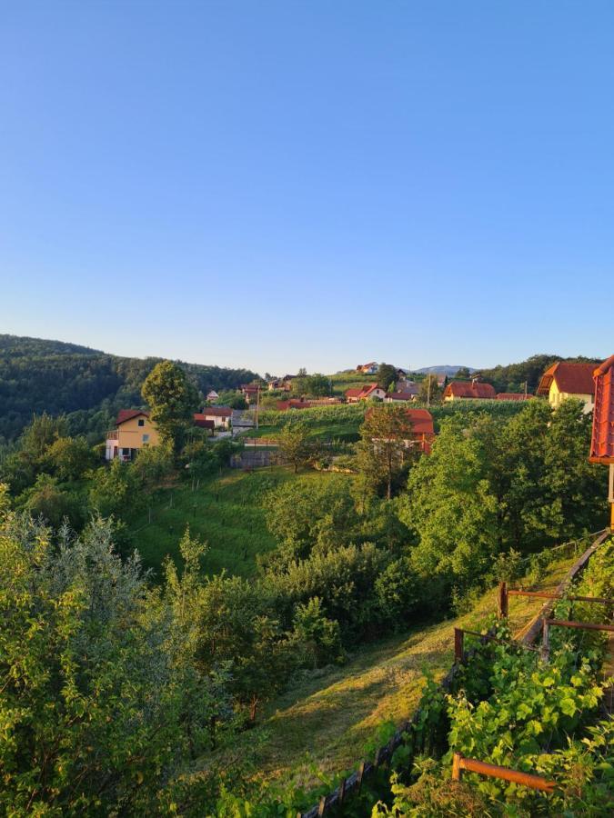 Zidanica Muhic Villa Доленсле Топлице Екстериор снимка