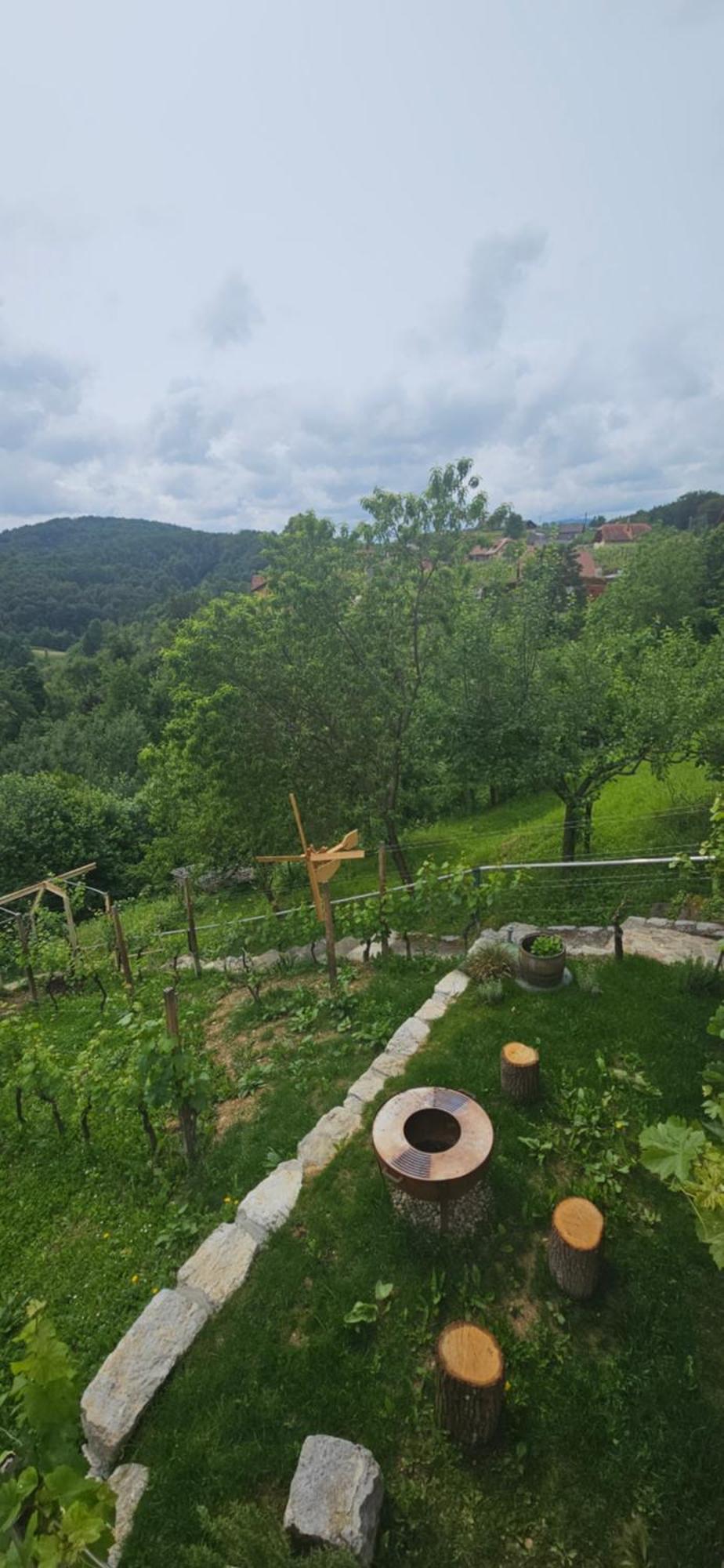 Zidanica Muhic Villa Доленсле Топлице Екстериор снимка